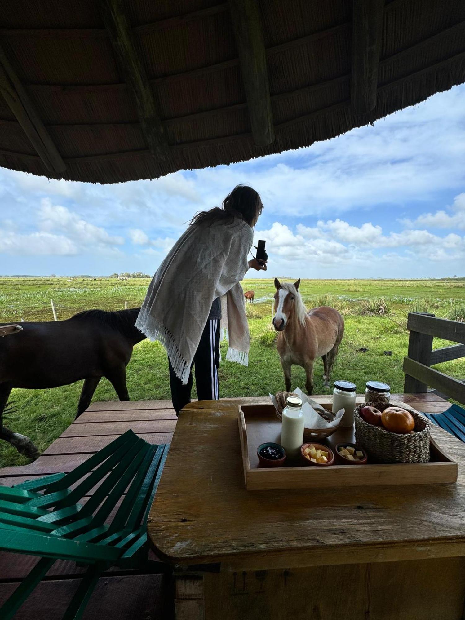Los Chaja Ecolodge 巴拉德瓦利扎斯 外观 照片